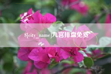 娄底九宫排盘免费