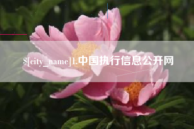 娄底1.中国执行信息公开网