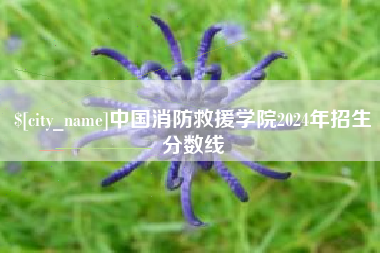 娄底中国消防救援学院2024年招生分数线