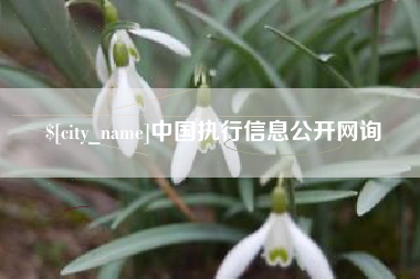 娄底中国执行信息公开网询