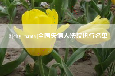 娄底全国失信人法院执行名单