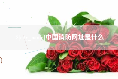 娄底中国消防网址是什么