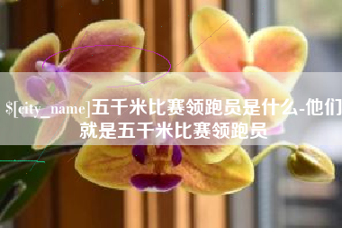 娄底五千米比赛领跑员是什么-他们就是五千米比赛领跑员