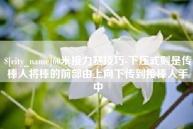 娄底60米接力赛技巧-下压式则是传棒人将棒的前部由上向下传到接棒人手中