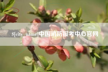 娄底中国消防报考中心官网