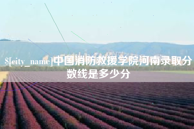 娄底中国消防救援学院河南录取分数线是多少分