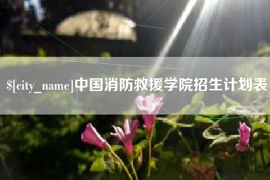 娄底中国消防救援学院招生计划表