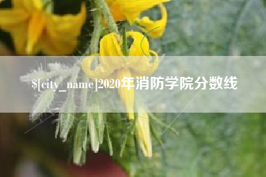 娄底2020年消防学院分数线