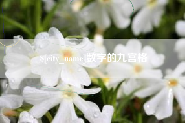 娄底数字的九宫格