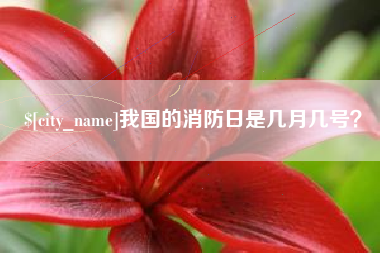 娄底我国的消防日是几月几号？