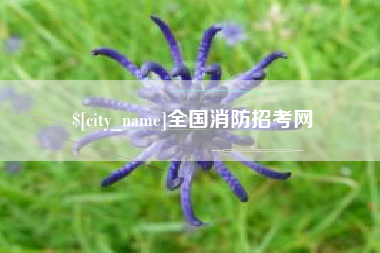 娄底全国消防招考网