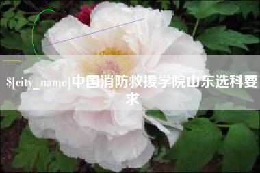 娄底中国消防救援学院山东选科要求