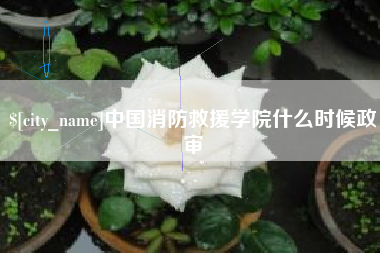娄底中国消防救援学院什么时候政审