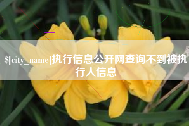 娄底执行信息公开网查询不到被执行人信息