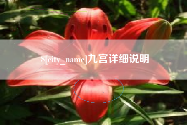 娄底九宫详细说明