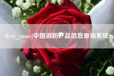 娄底中国消防产品信息查询系统1