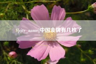 娄底中国金牌有几枚了