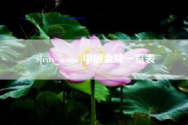 娄底中国金牌一览表