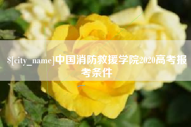 娄底中国消防救援学院2020高考报考条件