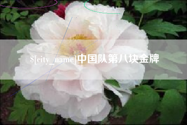 娄底中国队第八块金牌
