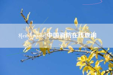 娄底中国消防在线查询