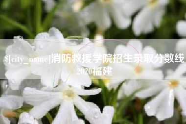 娄底消防救援学院招生录取分数线2020福建