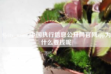 娄底中国执行信息公开网官网app为什么要钱呢