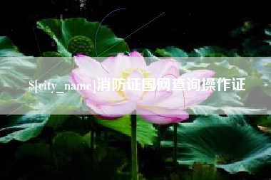 娄底消防证国网查询操作证