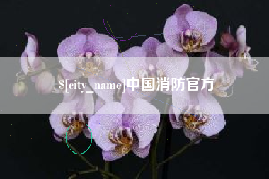 娄底中国消防官方