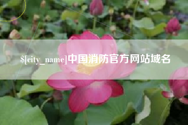 娄底中国消防官方网站域名
