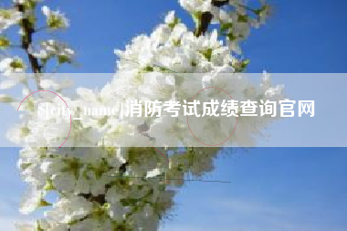 娄底消防考试成绩查询官网