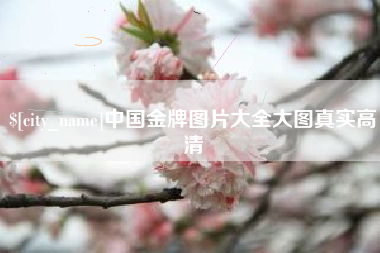 娄底中国金牌图片大全大图真实高清