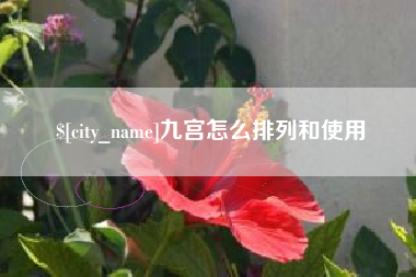 娄底九宫怎么排列和使用