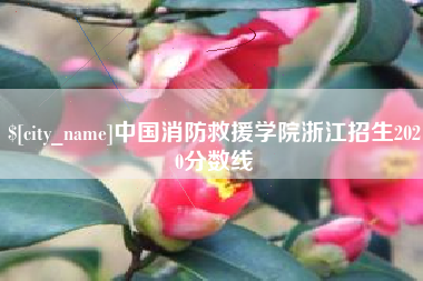 娄底中国消防救援学院浙江招生2020分数线