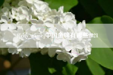 娄底中国金牌有哪些2021