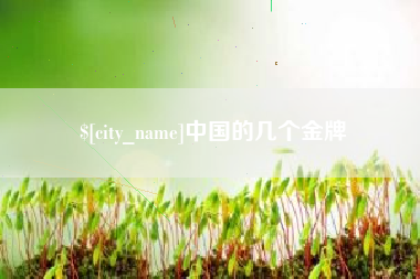 娄底中国的几个金牌