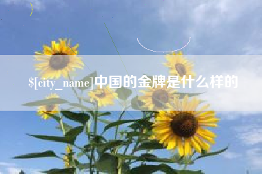 娄底中国的金牌是什么样的