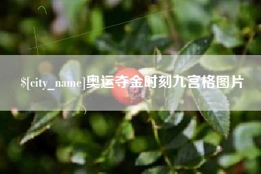 娄底奥运夺金时刻九宫格图片