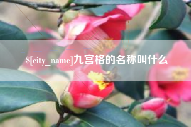 娄底九宫格的名称叫什么