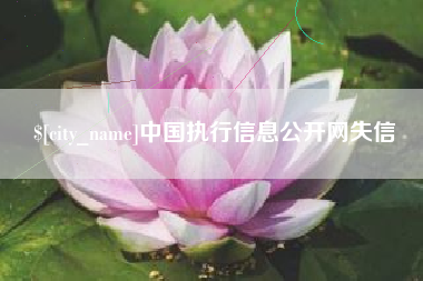 娄底中国执行信息公开网失信