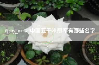 娄底中国五千米冠军有哪些名字