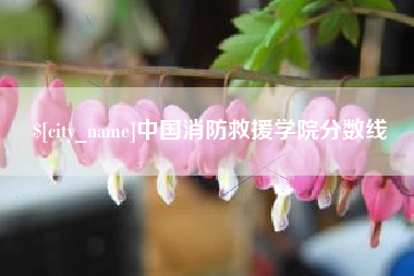娄底中国消防救援学院分数线