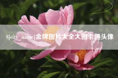 娄底金牌图片大全大图卡通头像
