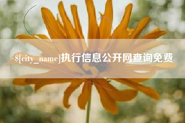 娄底执行信息公开网查询免费